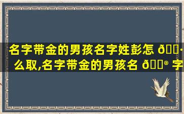 名字带金的男孩名字姓彭怎 🕷 么取,名字带金的男孩名 💮 字姓彭怎么取名好听